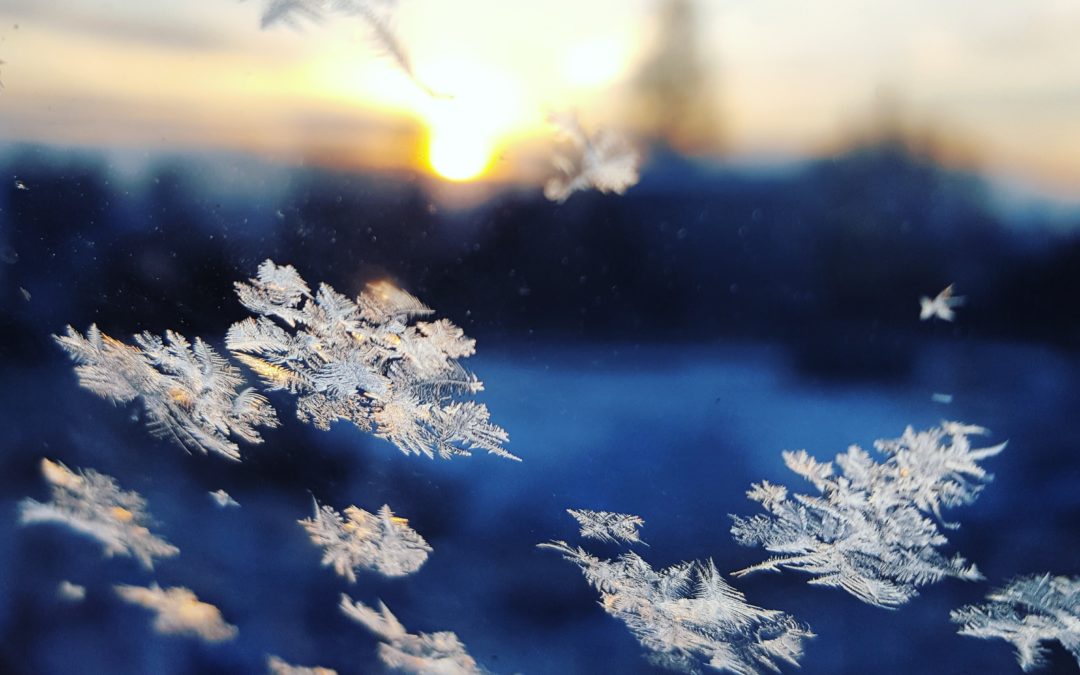 Die vollkommene Vergänglichkeit einer Schneeflockenexistenz